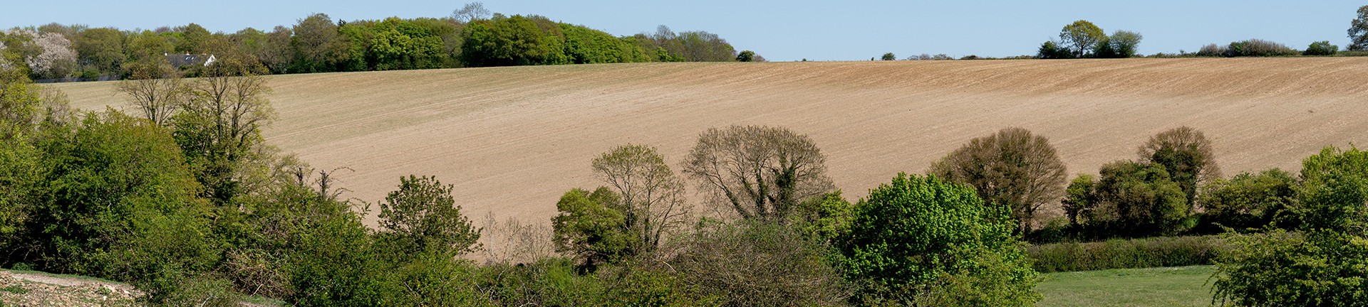 view of a field
