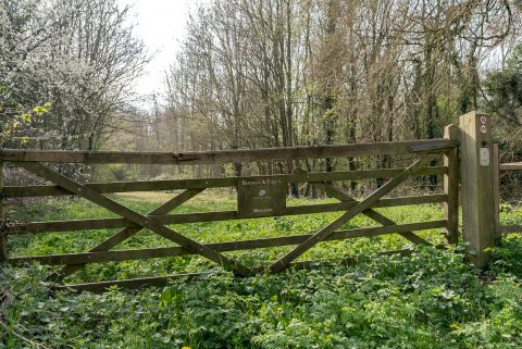 photo of woodland gate