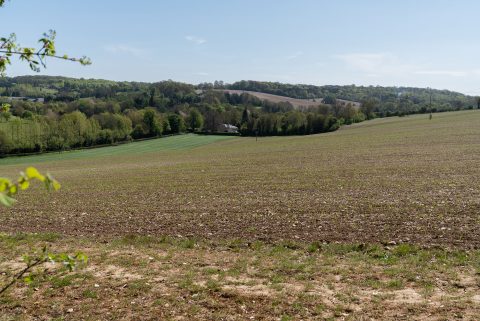 view of ploughed field