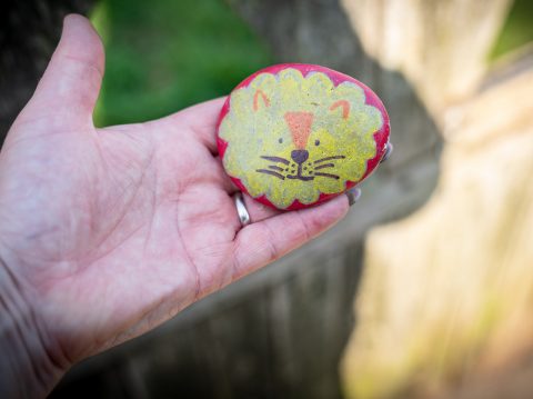 lion painted stone