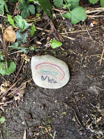 NHS painted on a rock