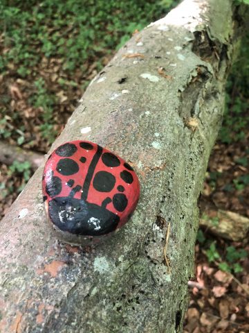 rock painted as a ladybird