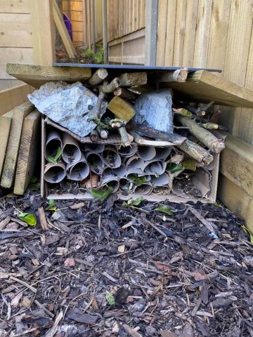 photo of a bug hotel