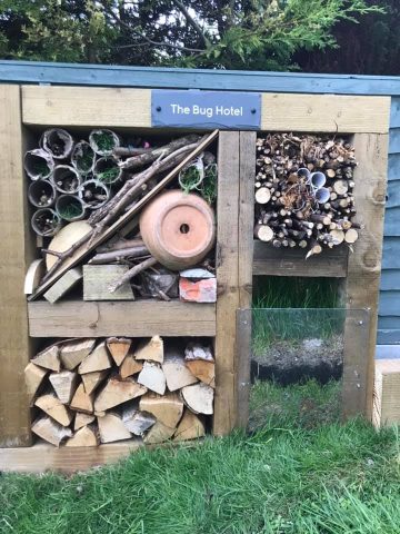 photo of the bug hotel