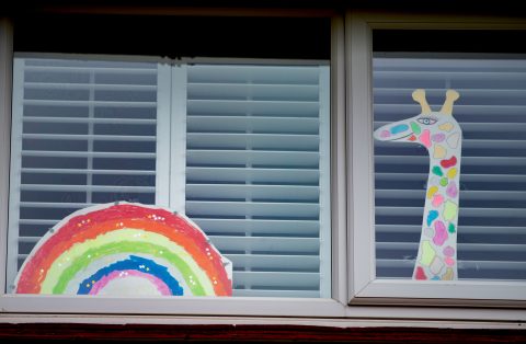 pictures of rainbow and giraffe in a window