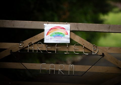 pictures of rainbow on a gate