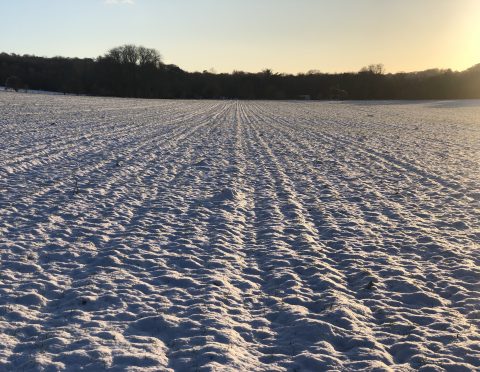 snow on a ploughed field
