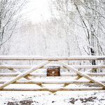 wooden five bar gate in snow