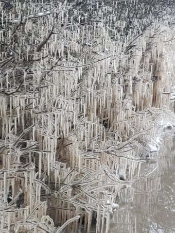 icicles beside a road